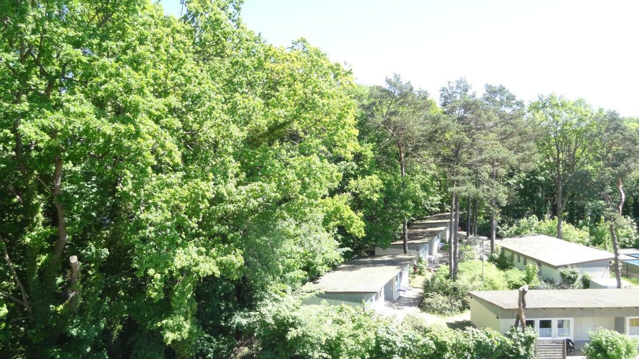 Waldschloss Parow Koserow Kültér fotó