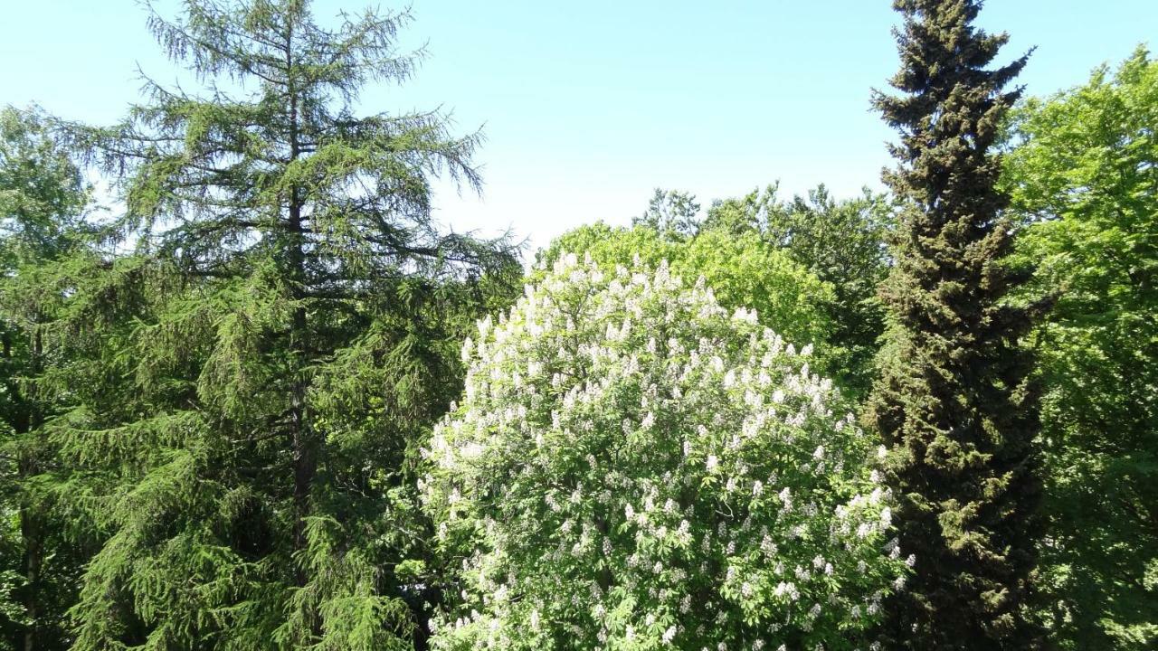 Waldschloss Parow Koserow Kültér fotó